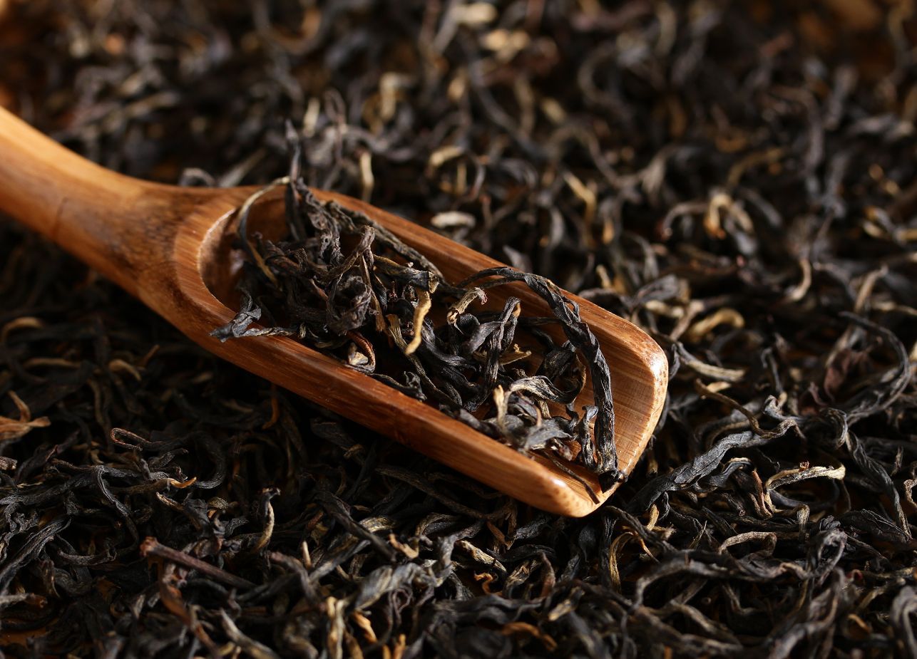 滇红大金针红针金芽单芽蜜香金针凤庆金针茶叶茶农直销松针甜