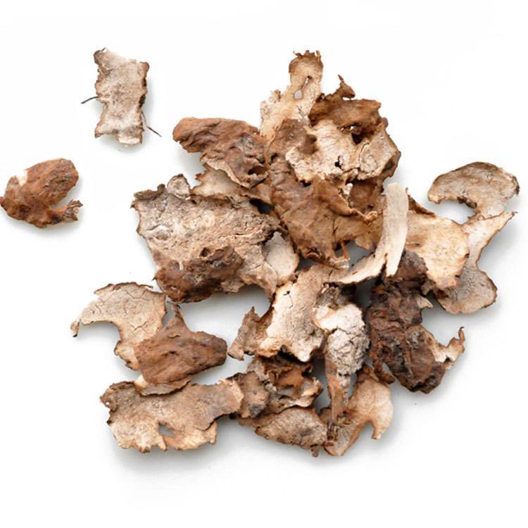 茯苓皮 中药材批发 云苓皮 茯神皮 制药厂合作 1000g 珍宏昊