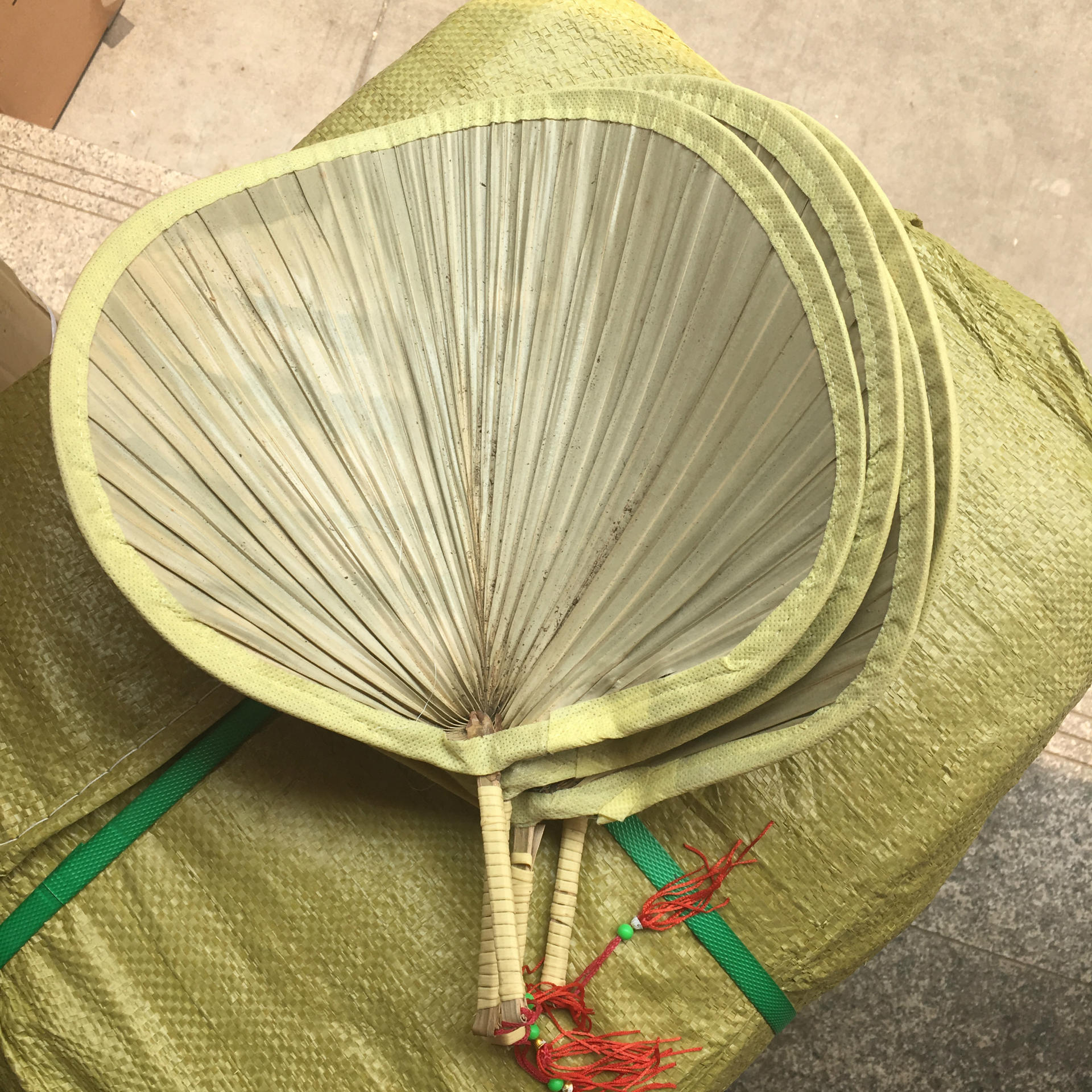 厂家直销 扇子大蒲扇 葵扇 芭蕉扇 天然环保原生态扇 量大从优