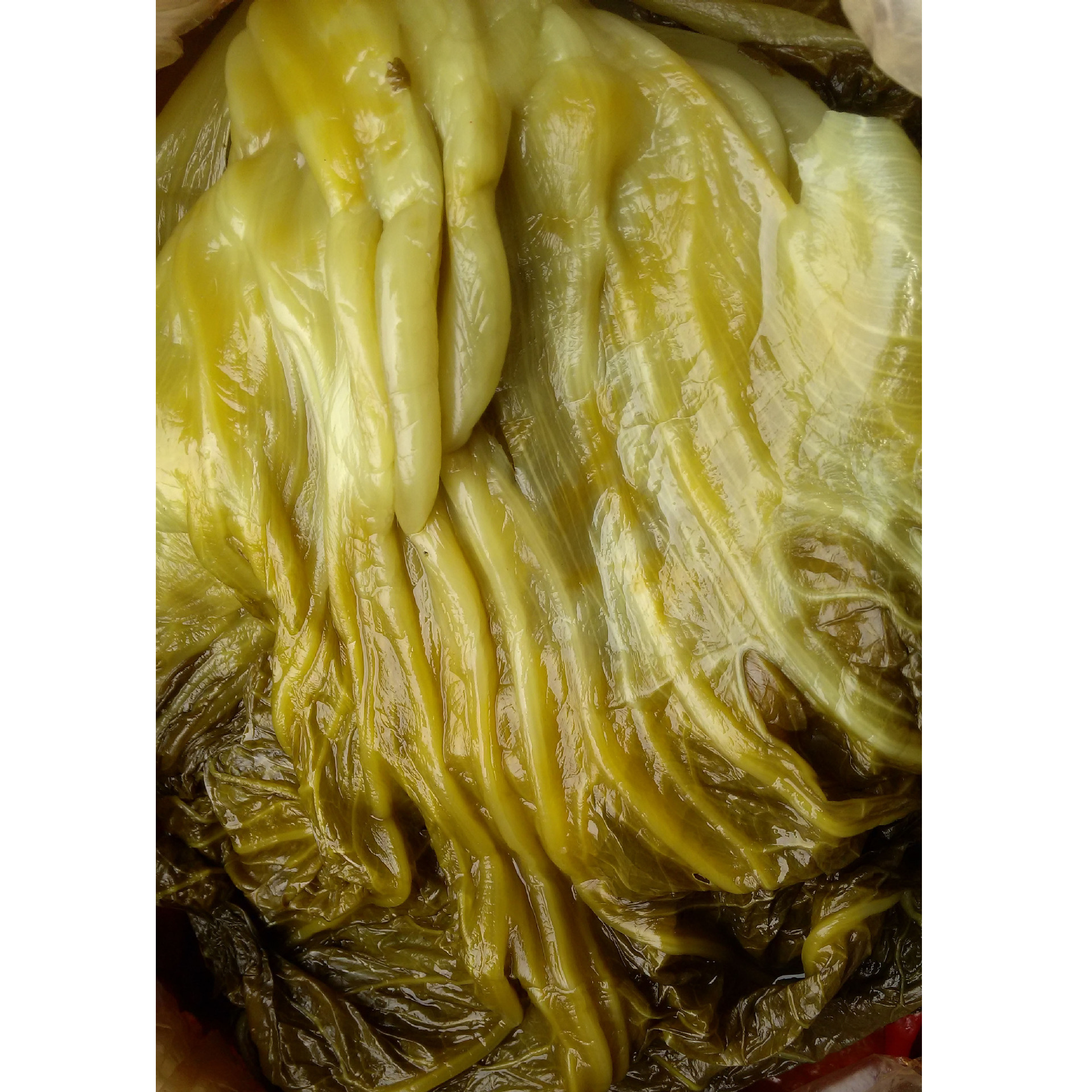 厂家60斤四川泡菜坛子泡酸菜酒店酸菜鱼酸菜米线散装酱腌菜批发