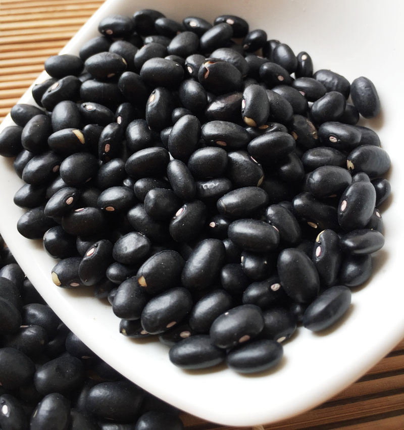 广州批发黑芸豆优质东北黑芸豆五谷杂粮黑芸豆黑眉豆芸豆一件代发