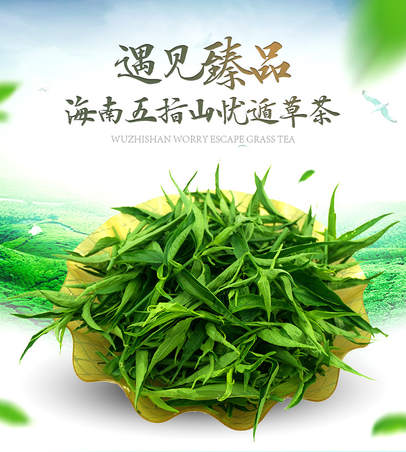 厂家直销供应 海南 黎宝忧遁草 五指山保健茶养生茶鳄嘴花茶.