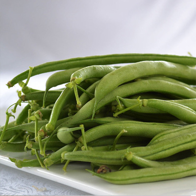 阳光一号架豆种子100g 批发蔬菜种子公司 优种网厂家直销