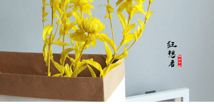 狂想者【永生橙菠萝花】保鲜永生花干花真花束装饰插花拍摄装饰