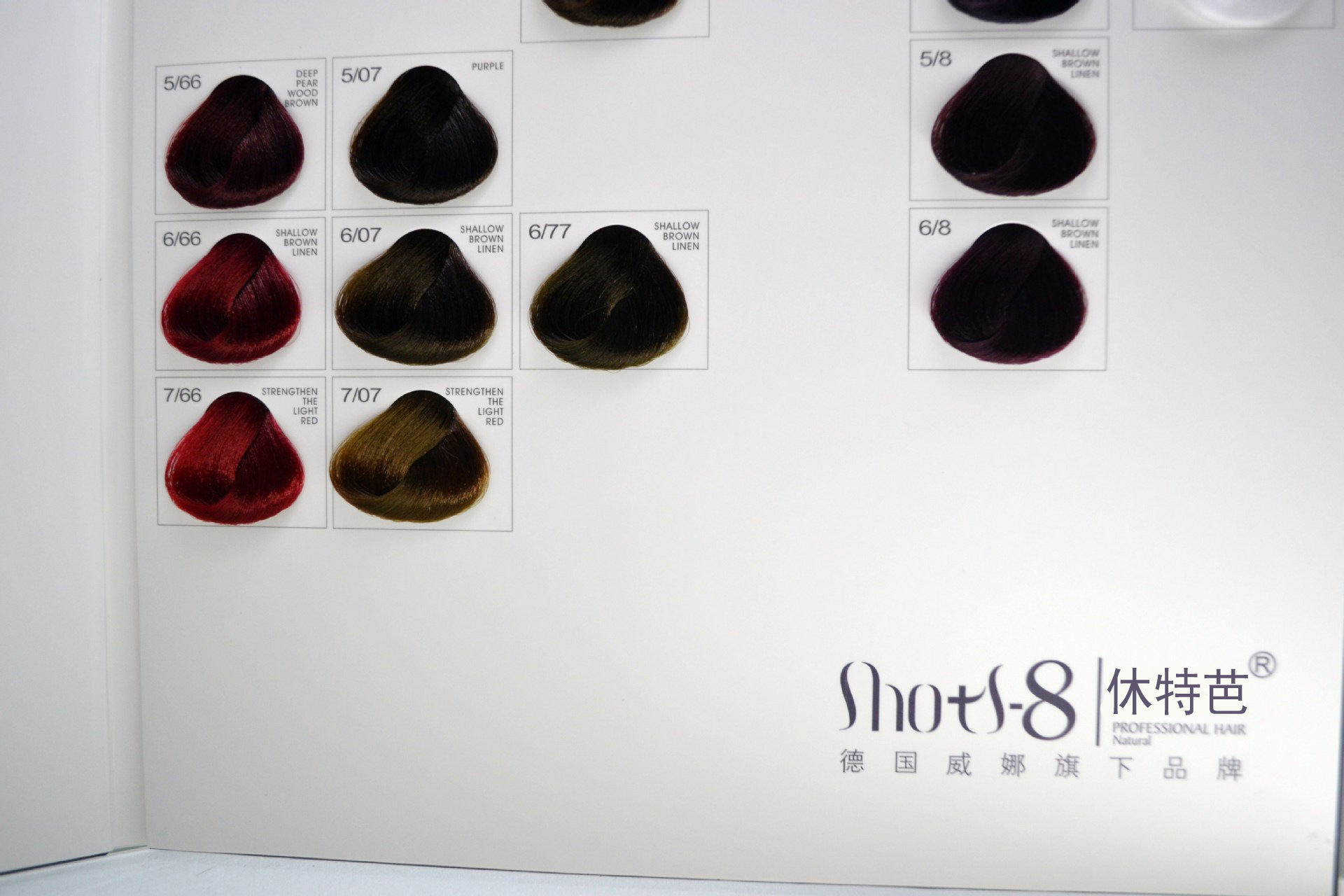 美发染膏色板威娜休特芭多彩染膏染发膏专用色板点色看色色板