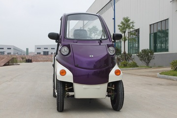 家用新能源四轮电动车小型老年代步车 全封闭2座电动汽车