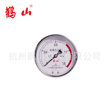 轴向耐震压力表YN100Z 甘油表 液压表 厂家直销 可定制