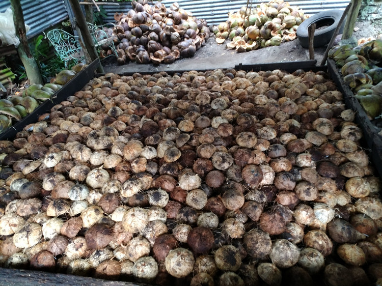 厂家批发椰子壳 纯天然手工带毛半边椰壳圆形椰片原料 量大价优