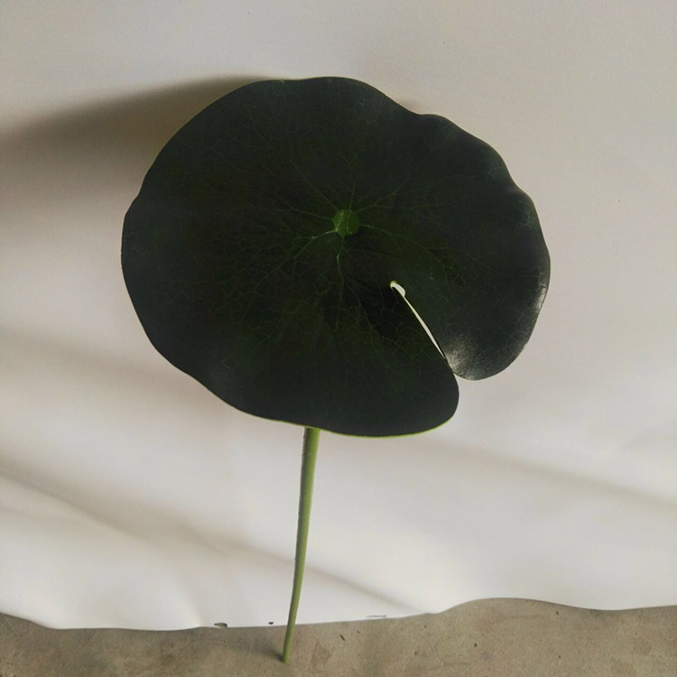 [大量供应] 带杆荷叶仿真荷叶 池塘带杆荷叶水景装饰