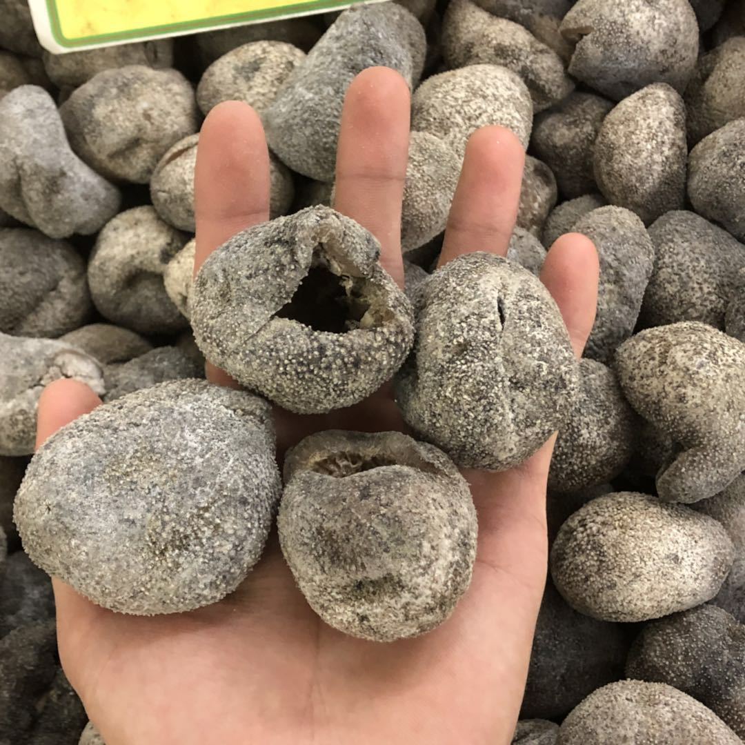 海参 批发越南球参 珍珠球参 乌圆球参18-20头 500克