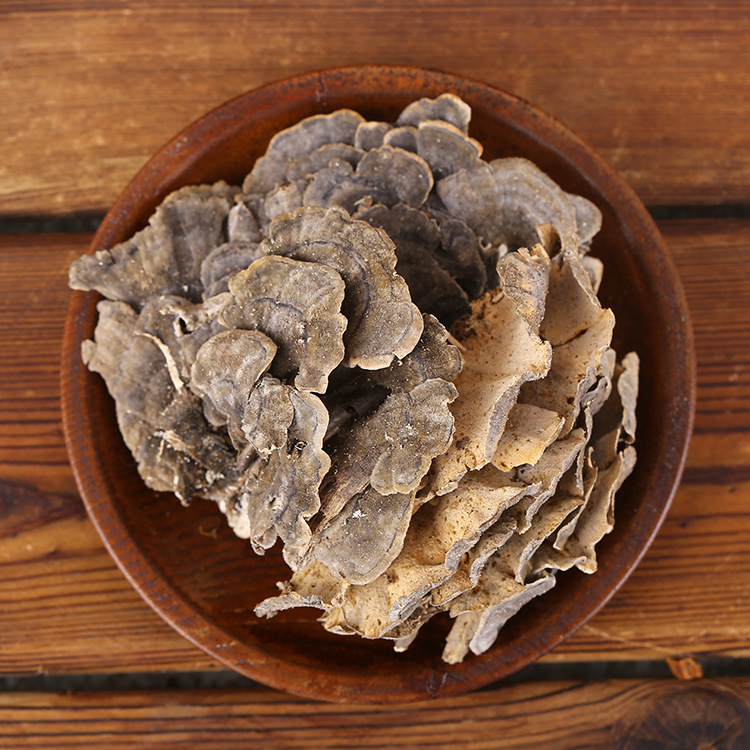 厂家大量批发东北特产云芝丰富营养传统补品可泡酒煲汤煮粥