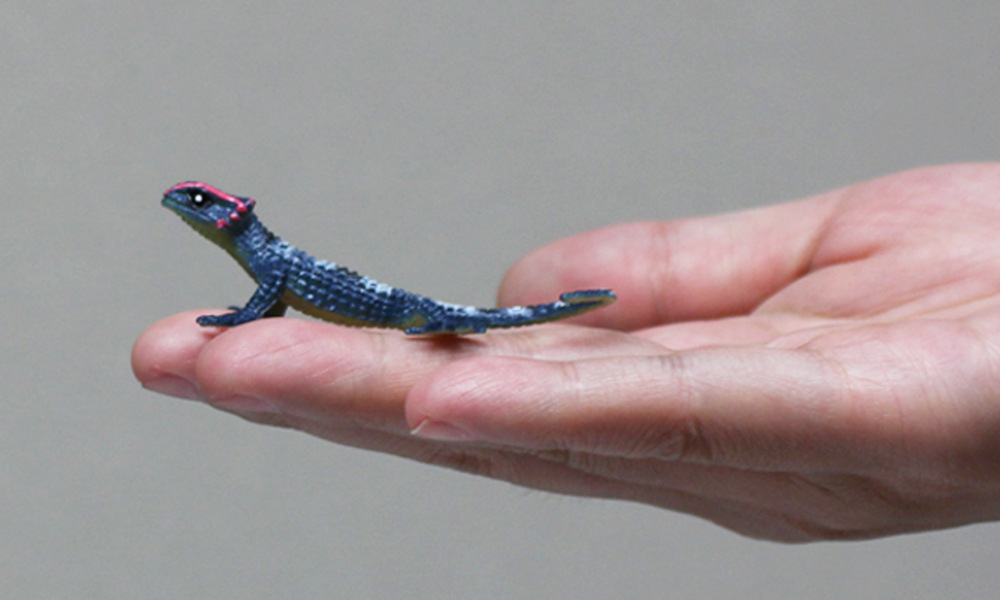 仿真动物 12款多色实心pvc仿真蜥蜴静态模型 爬行动物玩具袋装