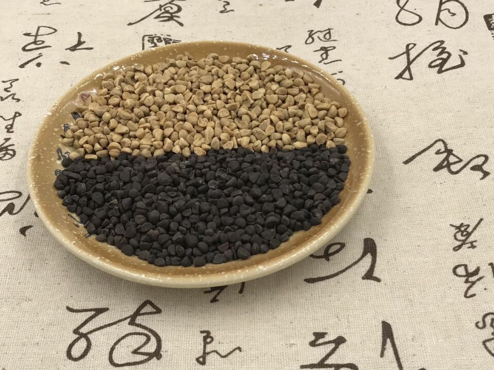 惠民堂黑白二丑 黑丑白丑 牵牛子 喇叭花 农产品初加工