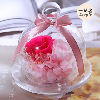 云南圃贝保鲜花七彩玫瑰彩虹纯手工上色永生花玫瑰