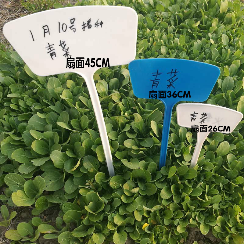 立体插地牌 苗木花卉果蔬育苗标签/园艺植物标牌/插地标牌