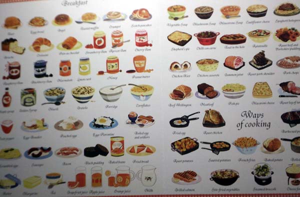 系列动物_1000英语 食物动物英语单词things t