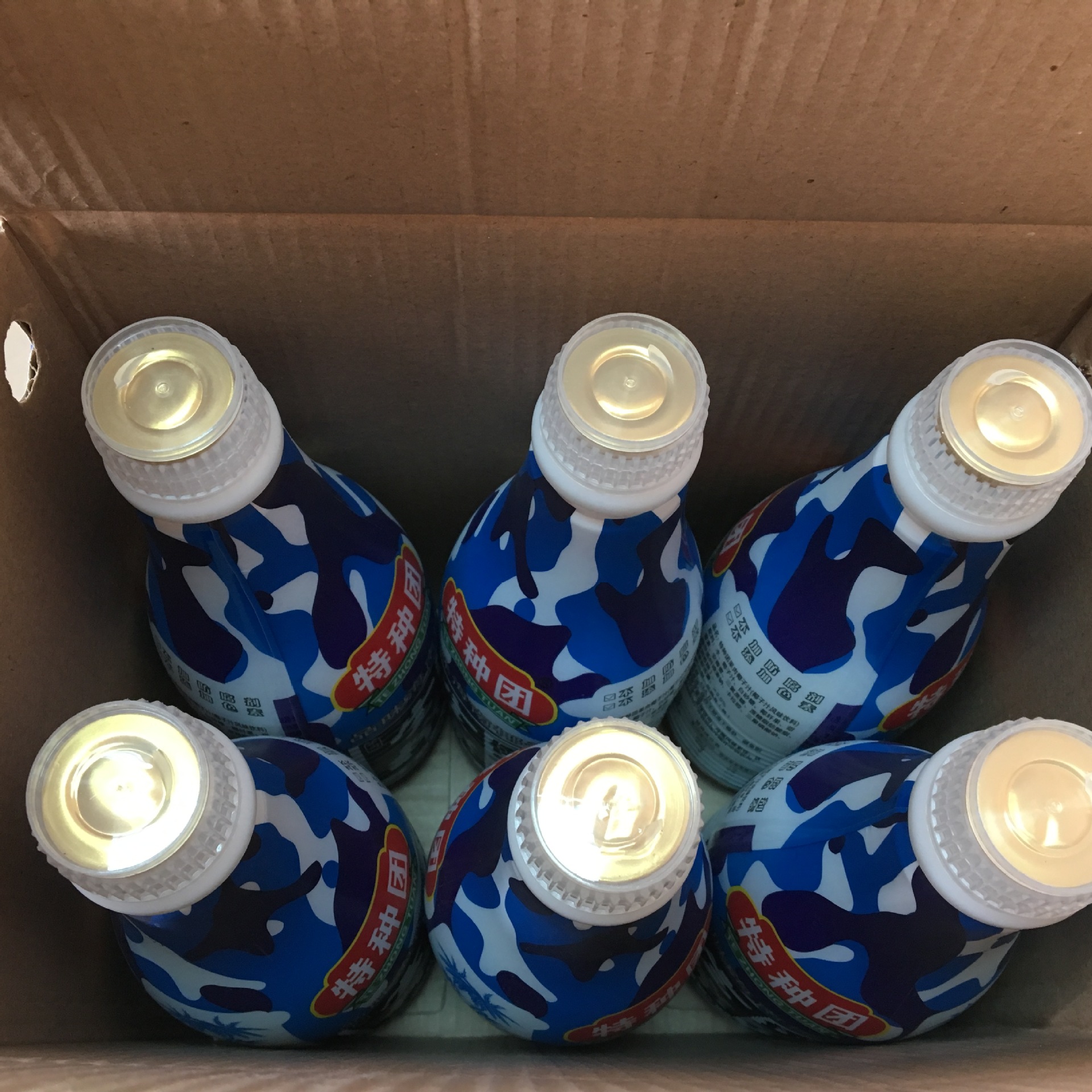 椰子汁 生榨椰汁 海南风味 1.25l大瓶健康绿色饮品 餐饮商超渠道