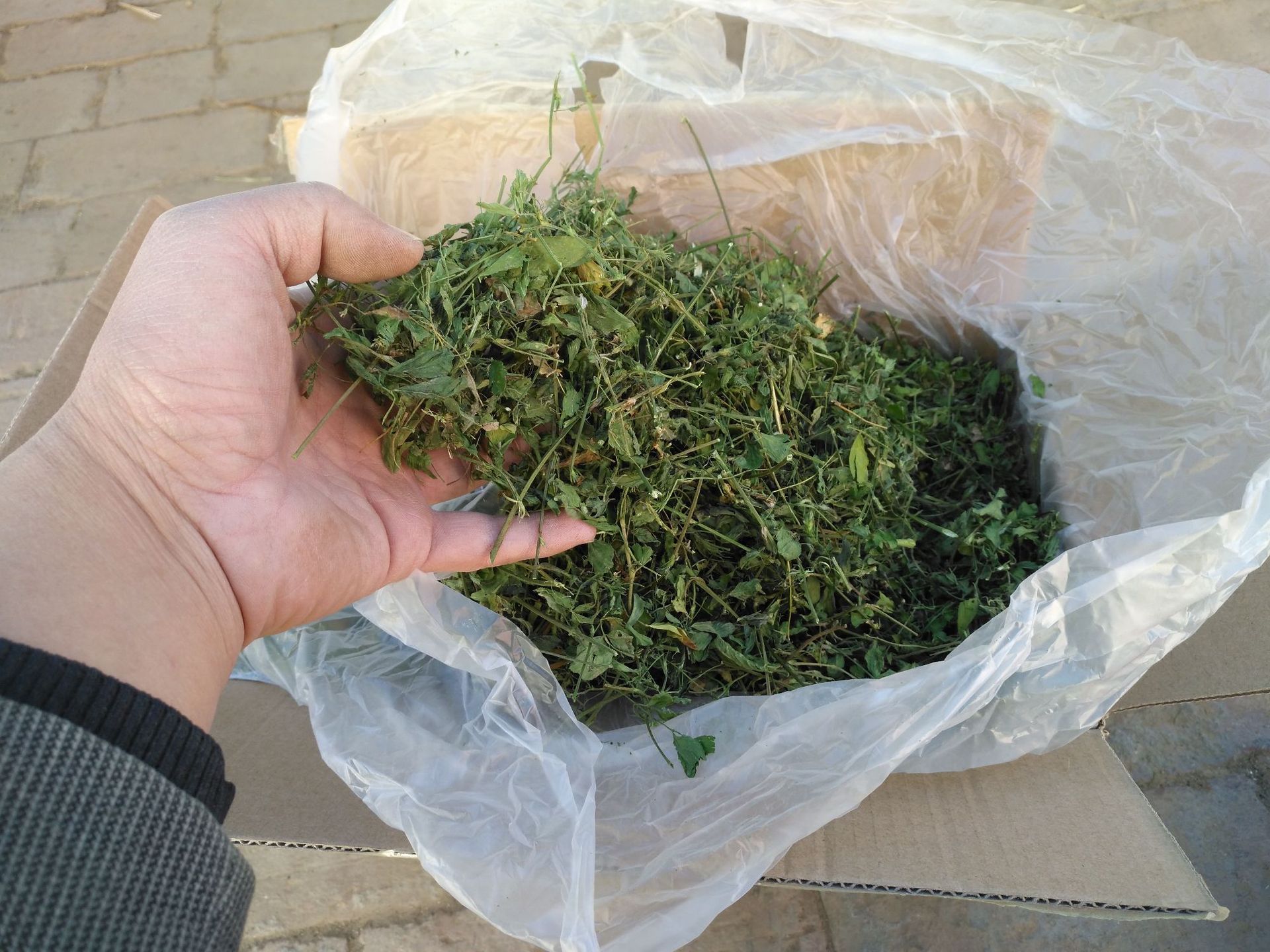 苜蓿草 新款烘干紫花苜蓿草段 1000g小宠牧草兔子龙猫荷兰猪主粮