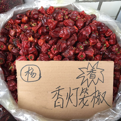 灯笼椒干辣椒 香辣辣椒 干锅餐饮 重庆小面调味料 只香不辣