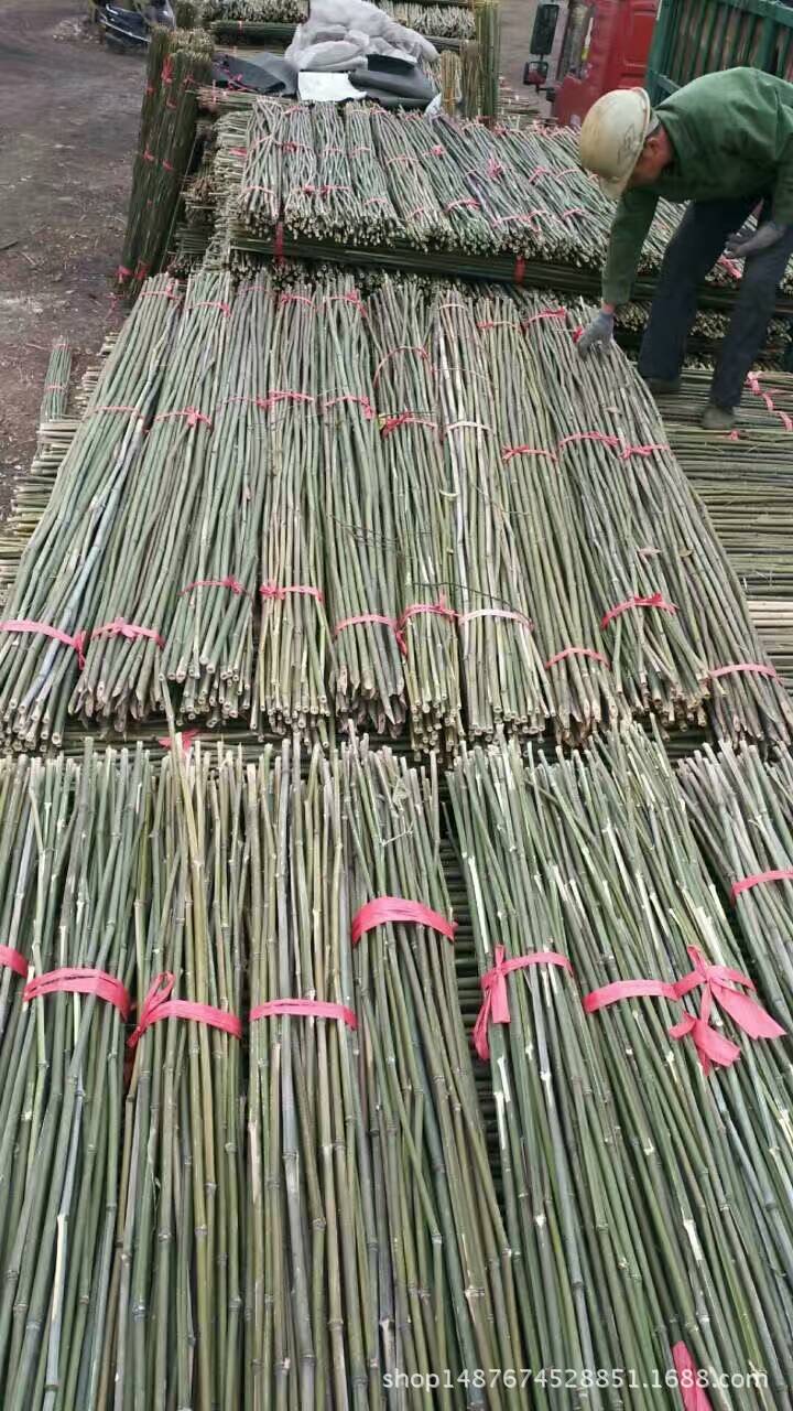 深圳东莞惠州批发出售防腐防蛀仿真黄绿色茶杆竹旗杆竹厘竹菜竹竿