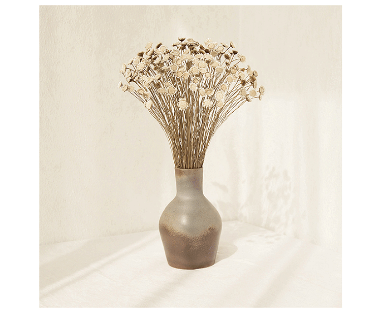 天然玛格丽特花束清新艺术干花 小干花 真花永生花家居装饰批发