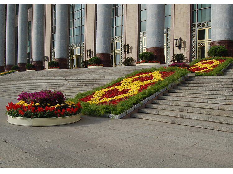 草花栽培基质 厂家供销花坛花专用育苗营养块网袋压缩型 营养土