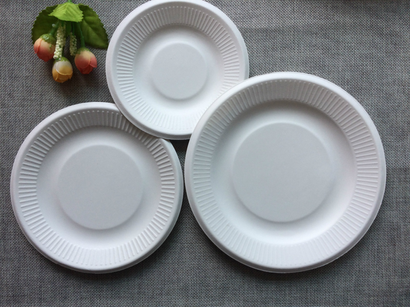 厂家直销一次性甘蔗浆纸盘纸碟 儿童手工diy纸盘 美术画画纸浆盘