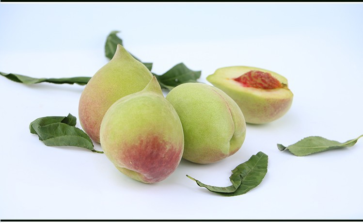 潮州结果年限2树苗年限1蓬径咨询客服地径1高度30货号01商品属性商品