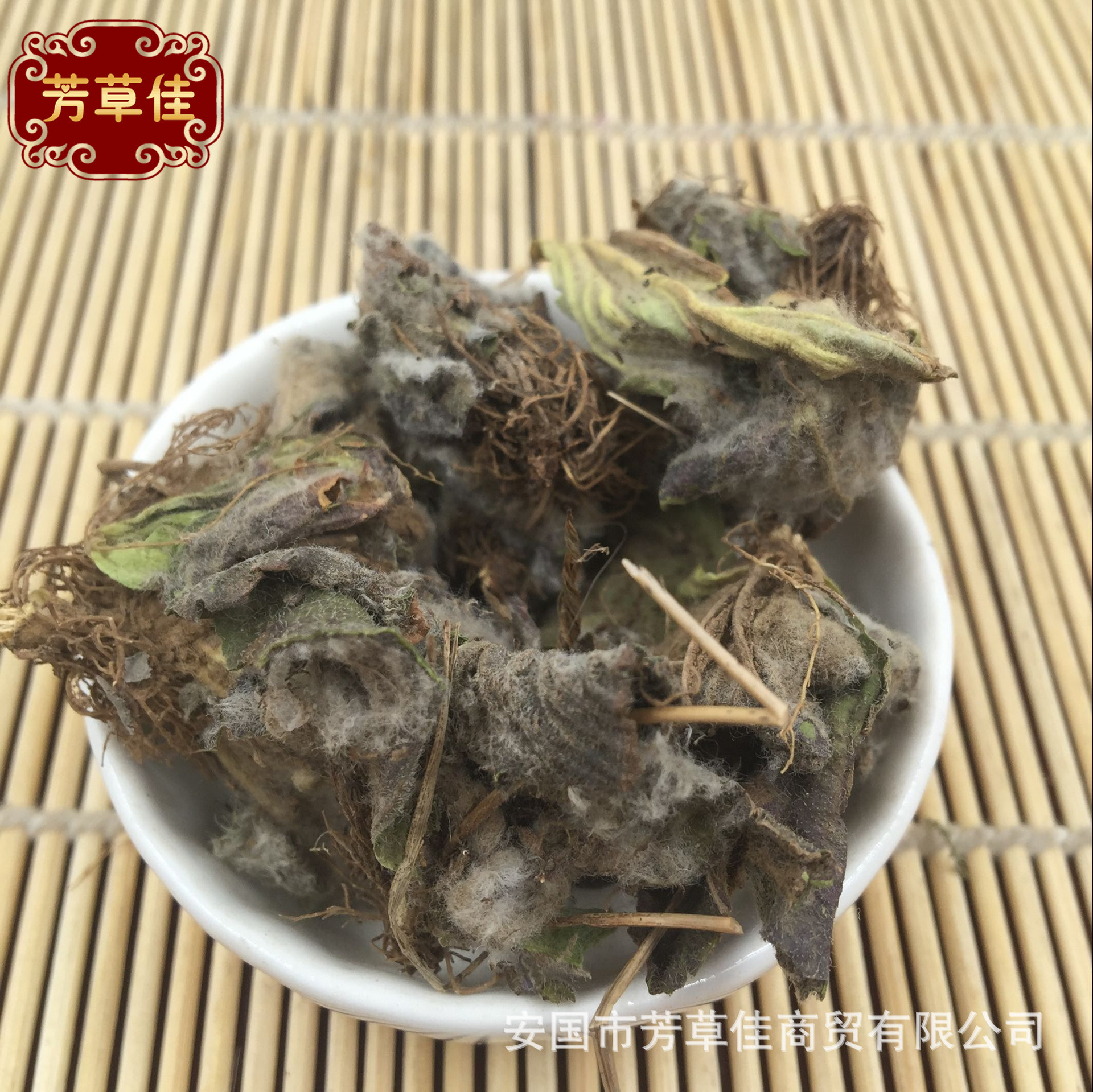 批发冷背中药材点地梅 喉咙草 白花珍珠草 天星草