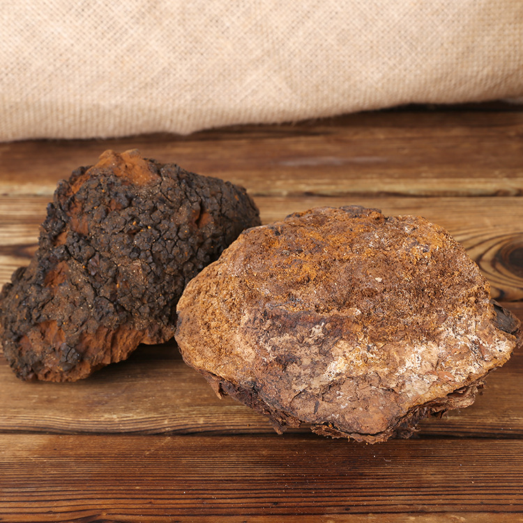 三江源东北特产长白山桦树茸桦褐孔菌桦树茸油子干货散装批发