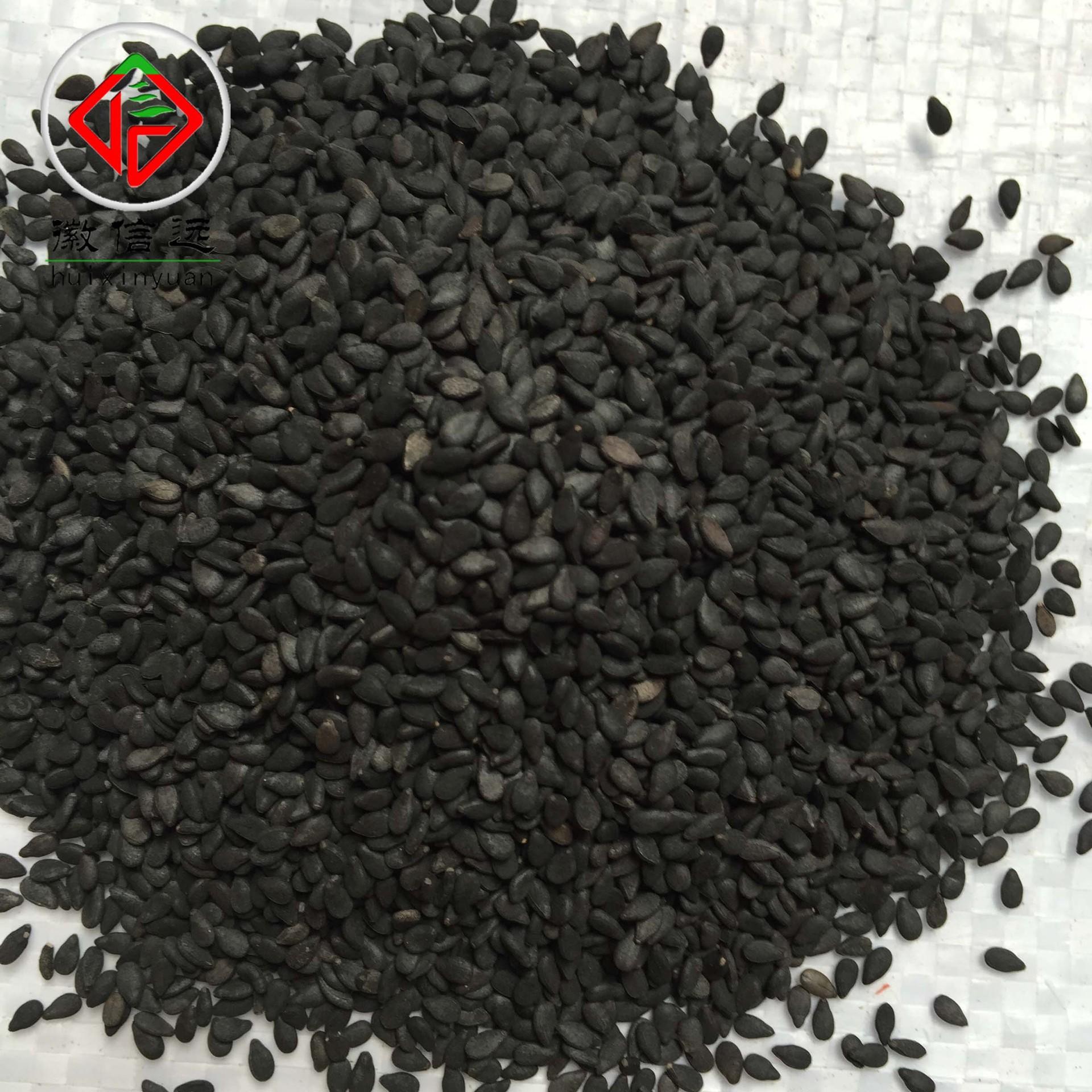 厂家徽信远道地中药材无硫磺新货 品质保证 药食同源选装黑芝麻