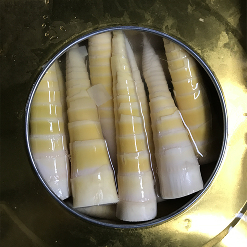 【厂家直销】天目山雷笋罐头小号酒店配送 罐头笋 清水笋 速冻笋