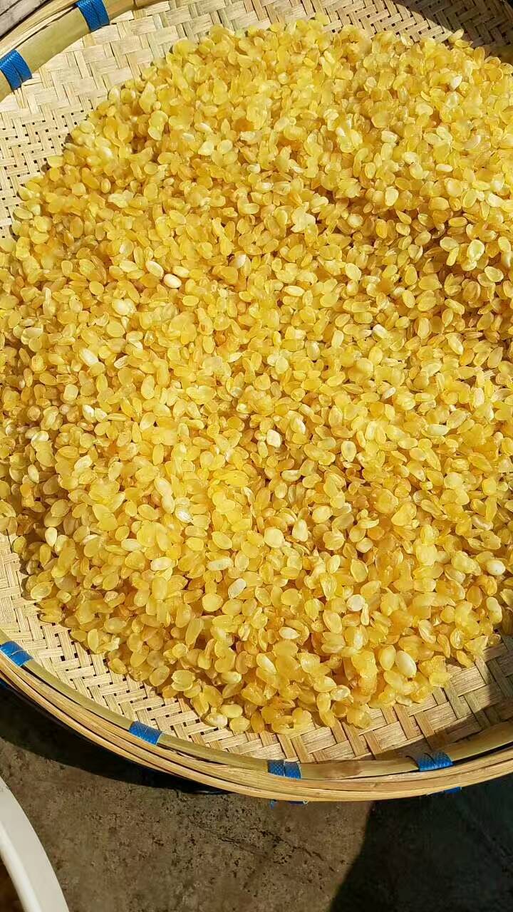 贵州云南梁河皂角米无糖双荚单荚皂角米大量批发一手货源