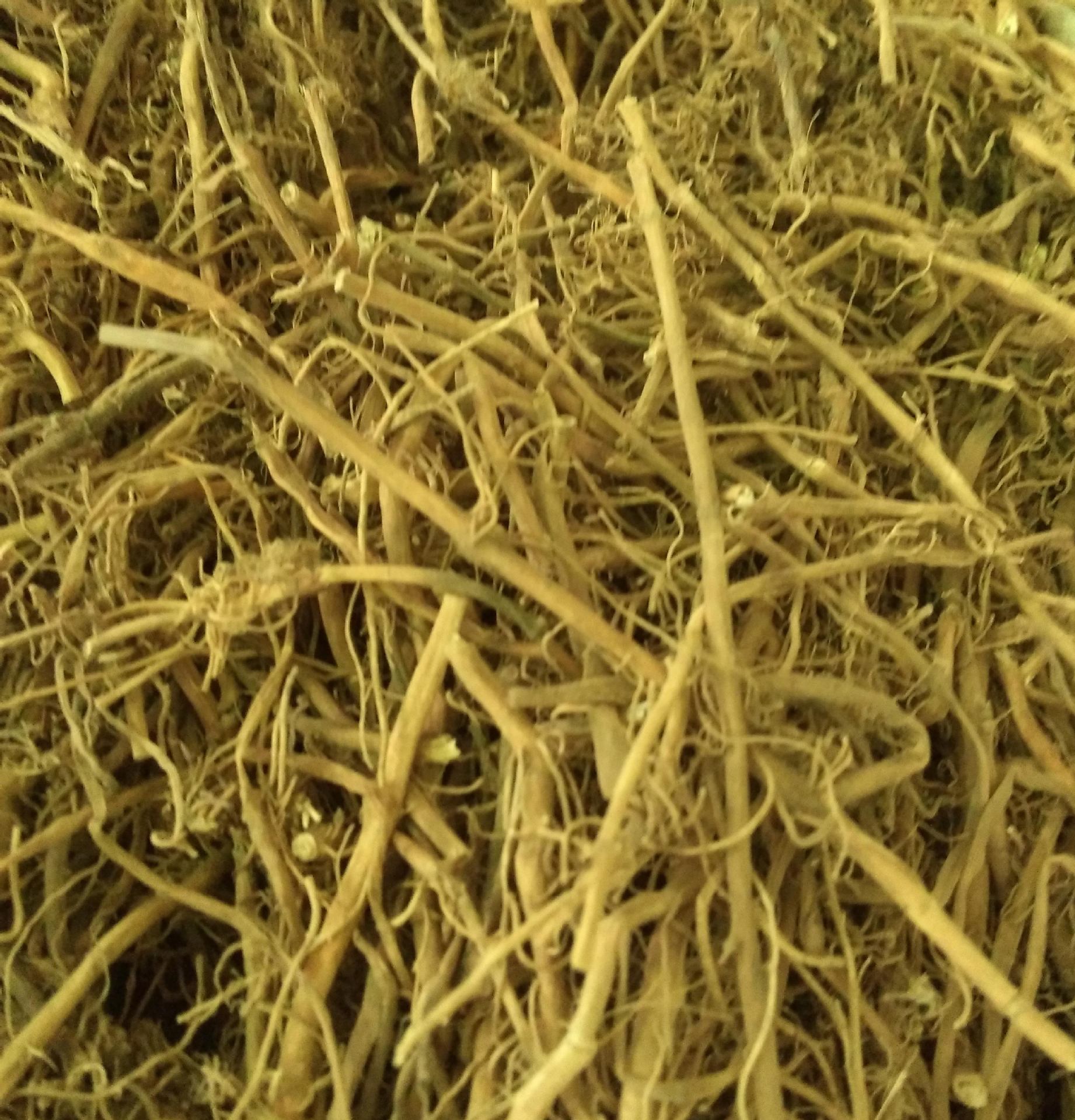 批发供应白前 水洗白前 水杨柳 草白前 量大价优