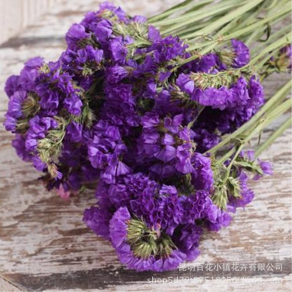 紫色勿忘我干花批发家居婚庆装饰卧室花束diy摄影道具永生花配材