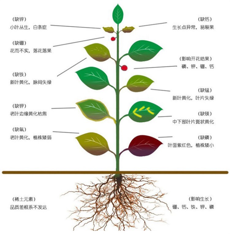 供应 生物**肥养花肥料蔬菜果树