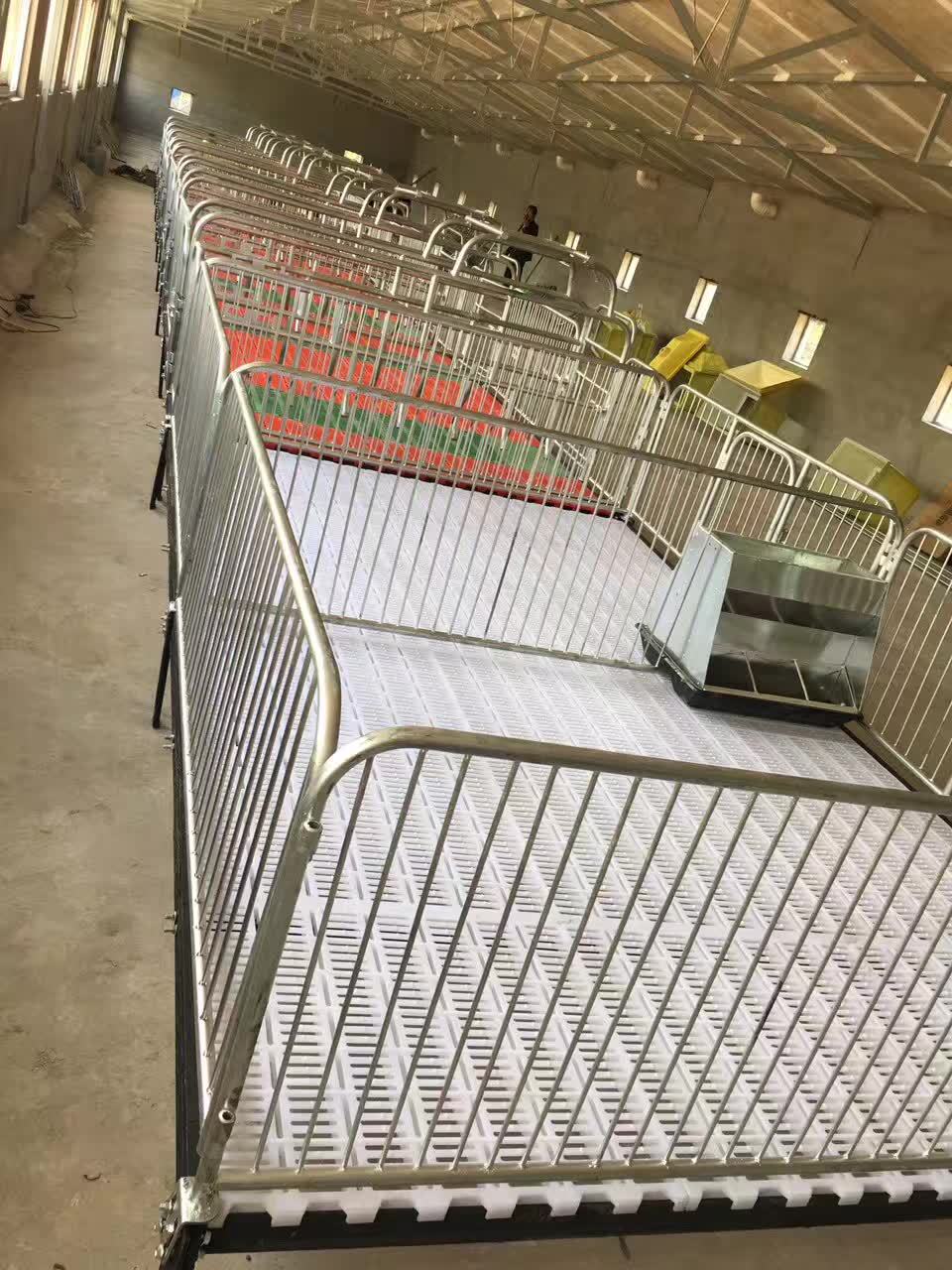 厂家直销 仔猪保育床 复合板注塑板仔猪保育床 小猪保育床猪用保