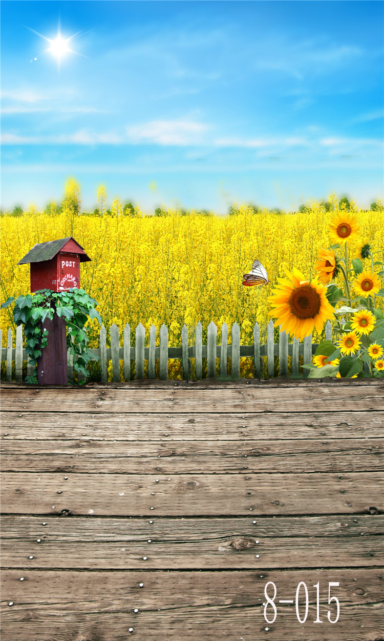 影楼婚纱写真摄影背景布主播儿童拍照pp不反光背景纸大尺寸可订制