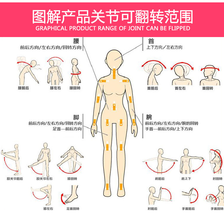 实体娃娃非充气娃娃硅胶带骨骼真人性玩偶成人男用一件代发