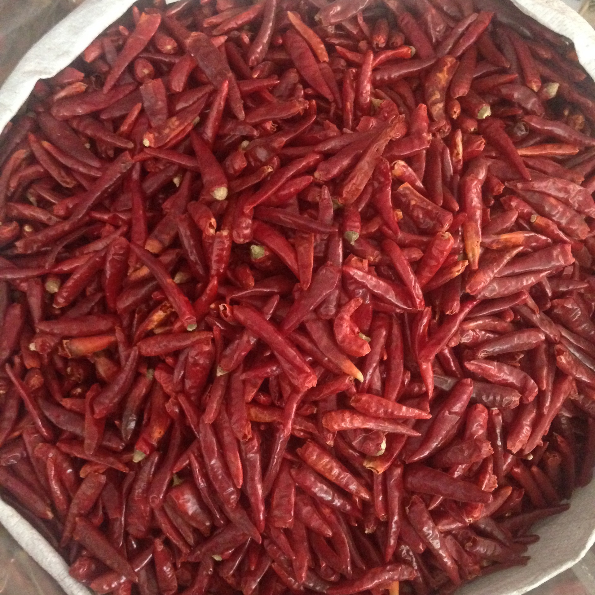 河南内黄新一代辣椒 小米辣海椒 调味品川菜火锅底料炒料用