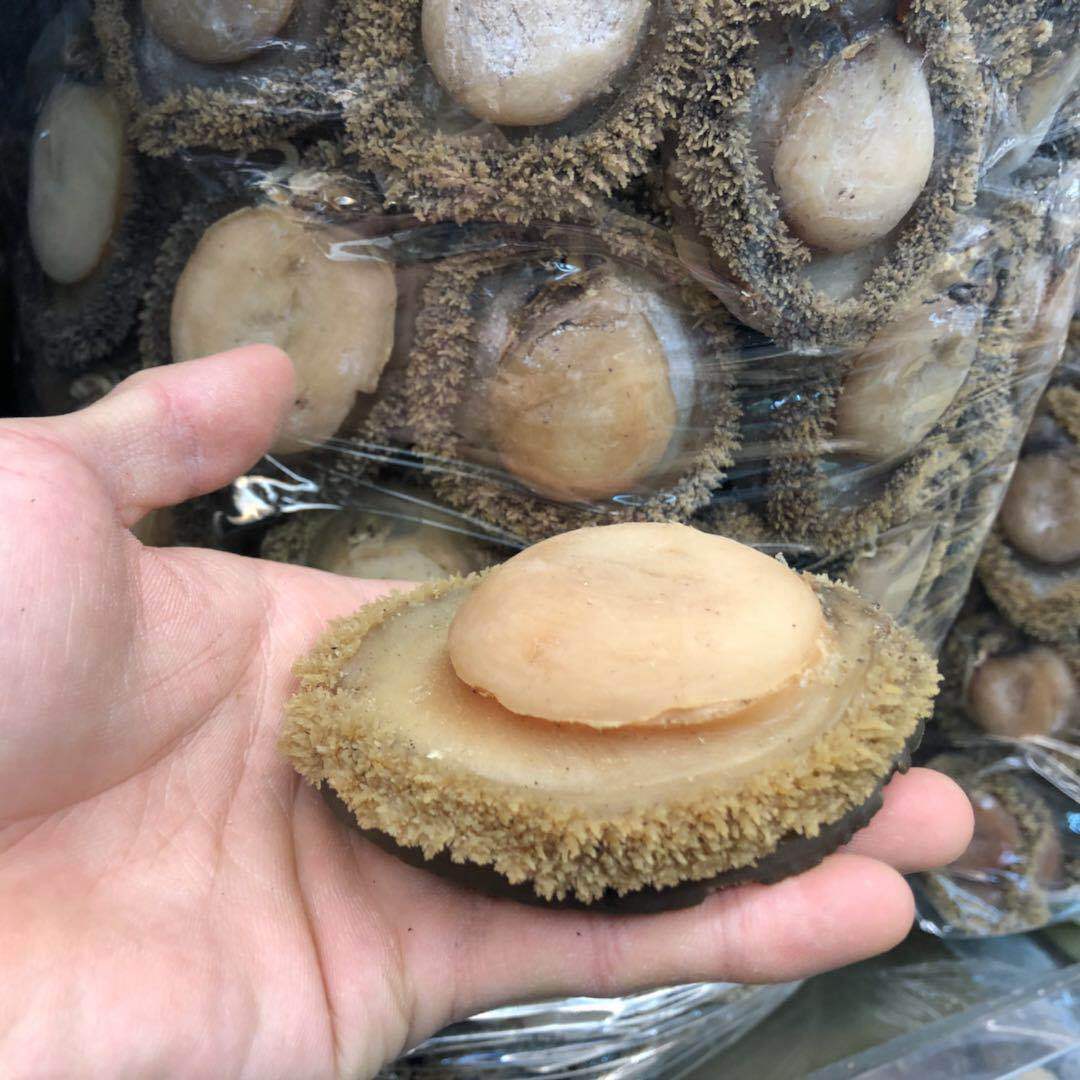 南非鲍鱼批发 2-80头非洲深海干鲍产地 海产干货酒店 酒楼用-阿里巴巴