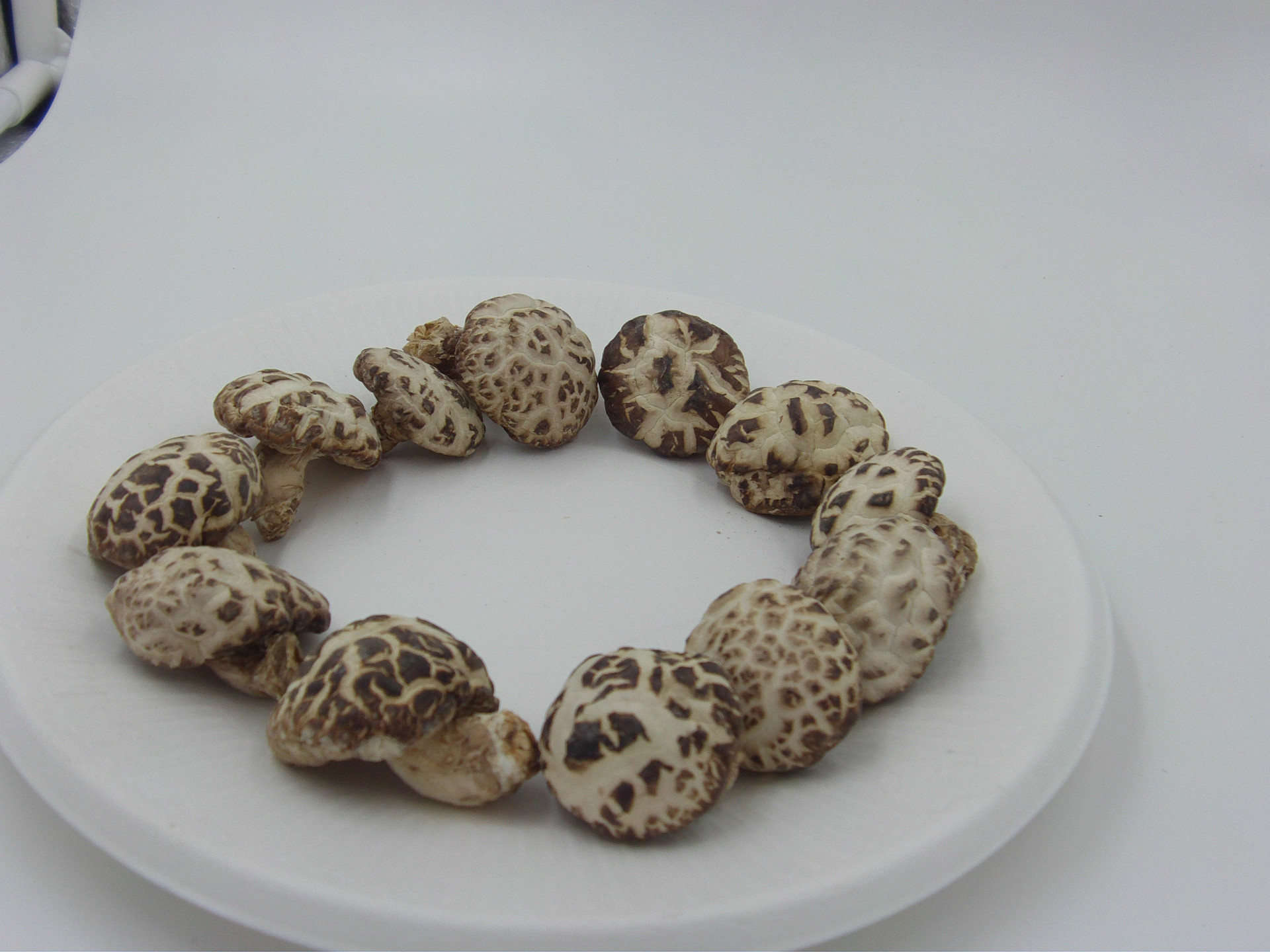 量批发供应香菇 食用菌干货虎皮花菇 肉厚味美 口感细化