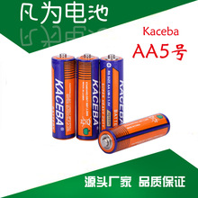 5号电池五号电池R6 1.5V AA干电池5号高容量锌锰电池AA碳性干电池