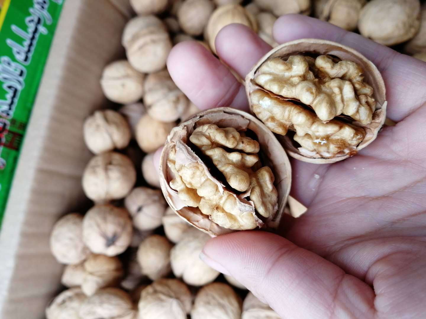 新疆185纸皮核桃纯天然无漂白特级20斤一箱批发17年新货 产地直销