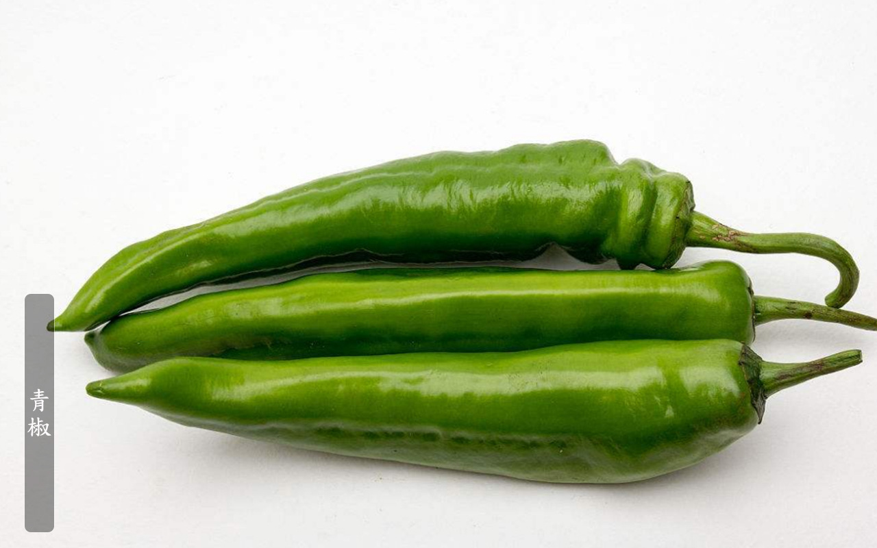 新鲜辣椒纯生态长青椒 绿色有机大青椒 青辣椒量大从优