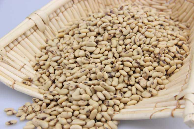 陕西特产陕北肾型老黄豆高蛋白大豆5斤包邮