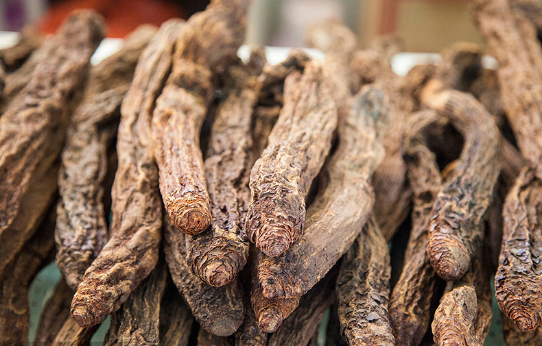 特产新疆中药材 优质锁阳个 中药滋补锁阳片 产地直销1斤配肉苁蓉