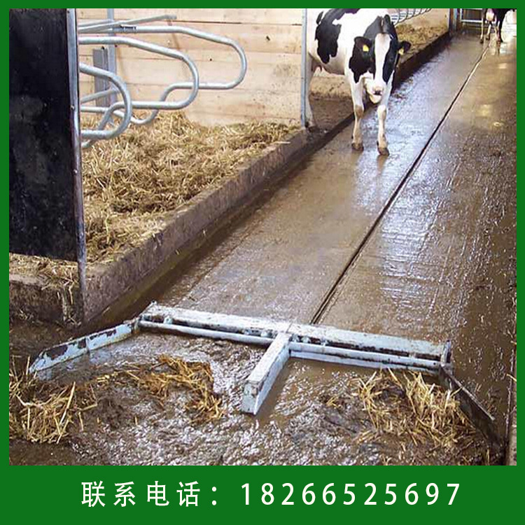 传送带清粪机厂家直供养牛场清理设备不锈钢自动化刮粪机 清粪机