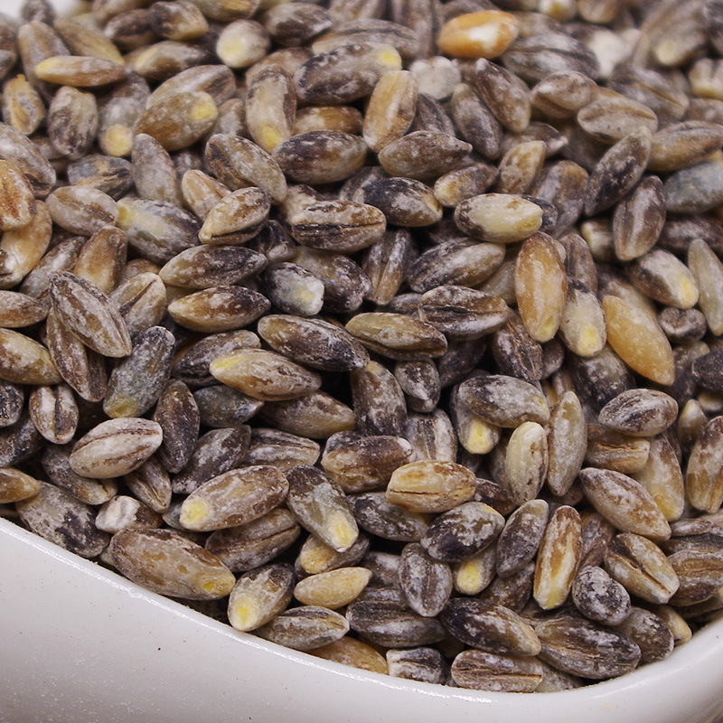 青藏高原特产黑青稞仁去皮黑青稞米500g 部分地区5斤包邮可批发