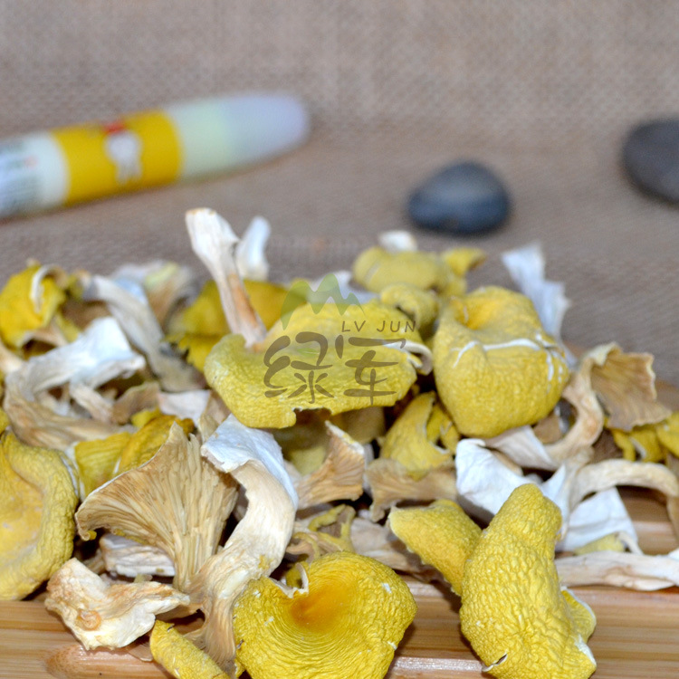 云南特产食用菌 鸡油菌人工鸡油黄新货榆黄菇黄丝菌供应酒店500克